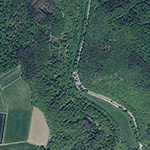 Die Lage von Frankenberger Mühle im Orthofoto