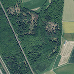 Die Lage von Wiesborn im Orthofoto