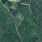 Die Lage von Waldfriede im Orthofoto