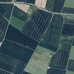 Die Lage von Malstadt im Orthofoto