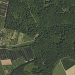 Die Lage von Forsthaus im Orthofoto