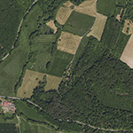 Die Lage von Schießenburg im Orthofoto