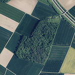 Die Lage von Römerkastell im Orthofoto