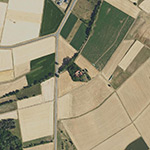 Die Lage von Neumühle im Orthofoto