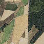 Die Lage von Eisenbühl im Orthofoto