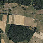 Die Lage von Borningen im Orthofoto