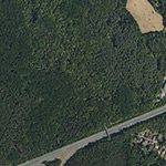Die Lage von Am Bergwerkswald im Orthofoto