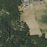 Die Lage von Tiergarten im Orthofoto