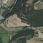 Die Lage von Am Homberg Nr. 117 im Orthofoto