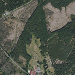 Die Lage von Steinbühl im Orthofoto
