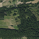 Die Lage von Scheuern im Orthofoto