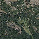 Die Lage von Forsthaus im Orthofoto