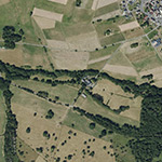Die Lage von Pfalzmühle im Orthofoto