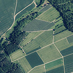 Die Lage von Bernstadt im Orthofoto