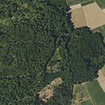 Die Lage von Grube Ferdinand im Orthofoto
