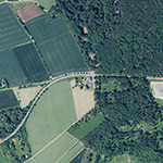 Die Lage von Waldschloss im Orthofoto
