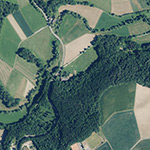Die Lage von Zur grünen Au im Orthofoto