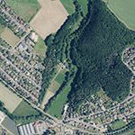 Die Lage von Alte Mühle im Orthofoto