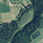 Die Lage von Haselau im Orthofoto