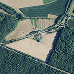 Die Lage von Tiergarten im Orthofoto