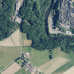 Die Lage von Steinbühl im Orthofoto