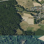Die Lage von Jagdhaus im Orthofoto