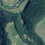 Die Lage von Waldfriede im Orthofoto