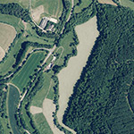 Die Lage von Mühle im Orthofoto