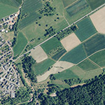 Die Lage von Steuerburg im Orthofoto