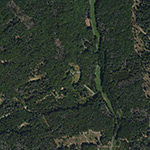 Die Lage von Haus Waldfrieden im Orthofoto