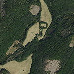 Die Lage von Rossbach, Hof im Orthofoto