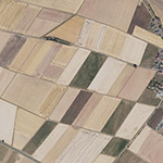 Die Lage von Rodenbühl im Orthofoto