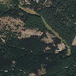 Die Lage von Gerwigshain im Orthofoto