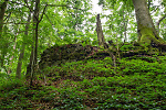 Nellenburg, Mauerecke