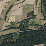 Die Lage von Niedlingen im Orthofoto