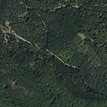 Die Lage von Dudechenberg im Orthofoto