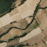 Die Lage von Bedelsdorf im Orthofoto