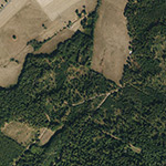 Die Lage von Bauschenhain im Orthofoto