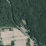 Die Lage von Forsthaus Harleshausen im Orthofoto