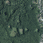 Die Lage von Kirchditmold, Forstbezirk im Orthofoto