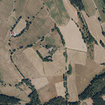 Die Lage von Ziegelhof im Orthofoto