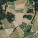 Die Lage von Liels im Orthofoto