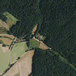 Die Lage von Forsthaus Steinhaus im Orthofoto