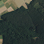 Die Lage von Zu Neustert im Orthofoto