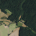 Die Lage von Forsthaus mit Blockhaus im Orthofoto