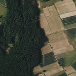 Die Lage von Ziegelei im Orthofoto