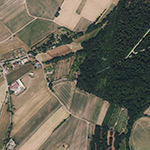 Die Lage von Forsthaus im Orthofoto