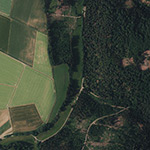 Die Lage von Diefenbach im Orthofoto