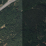 Die Lage von Tongrube (dann Bergwerk) im Orthofoto