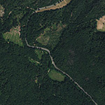 Die Lage von Kupferhütte im Orthofoto